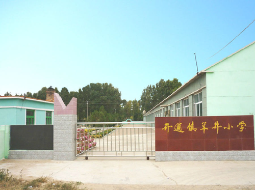 开通镇羊井小学校.png